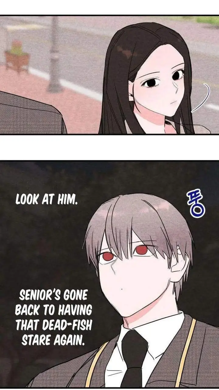 The Perfect Senior’s Secret! Chapter 6