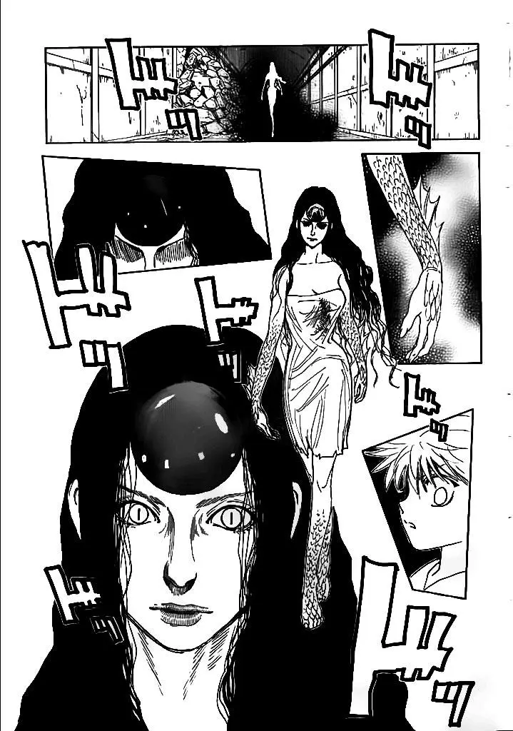 Hunter x Hunter Chapter 293