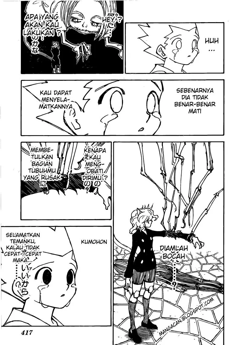 Hunter x Hunter Chapter 305