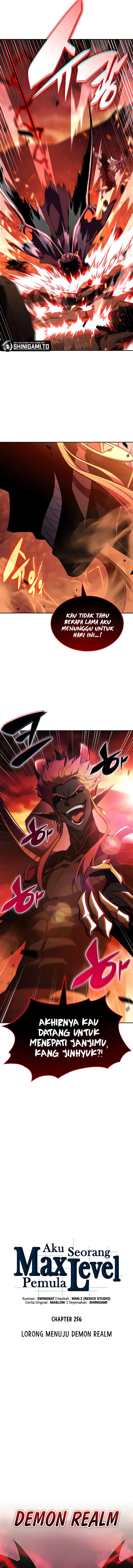 Solo Max-Level Newbie Chapter 256
