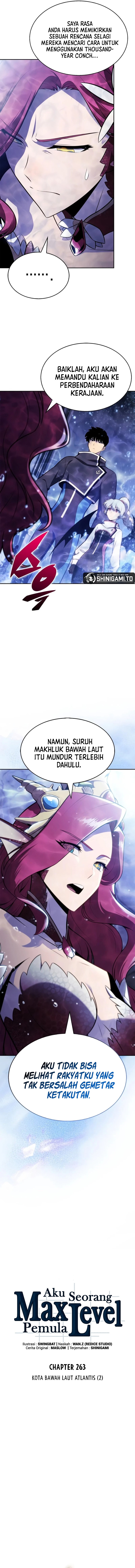 Solo Max-Level Newbie Chapter 263