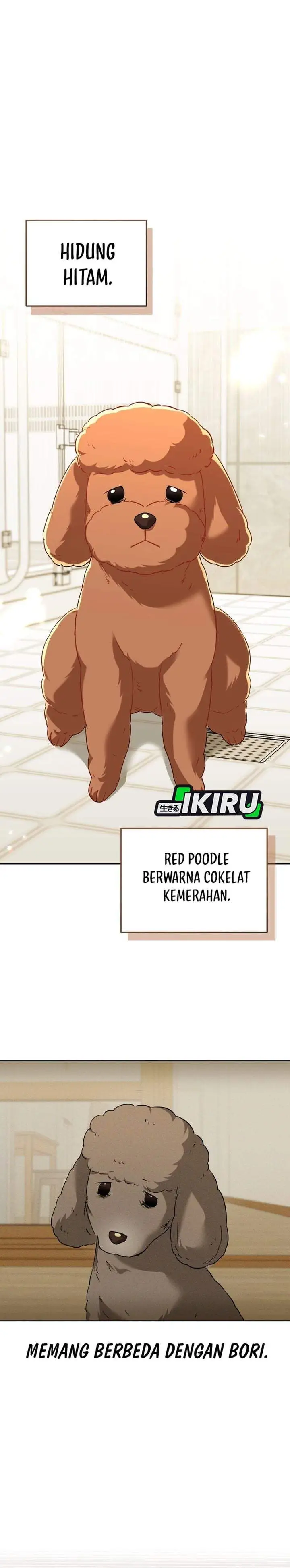 Hello? Veterinarian Chapter 139