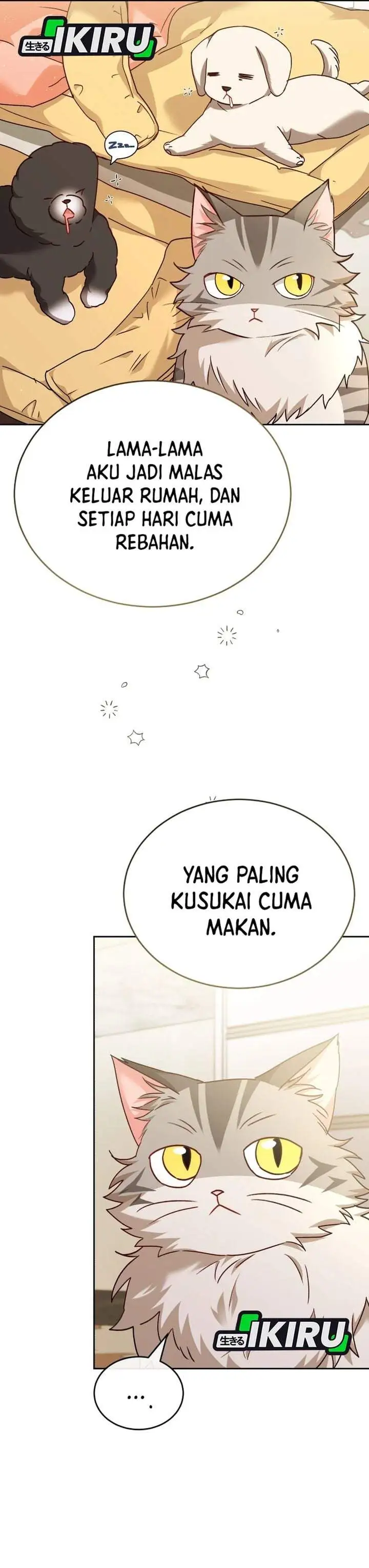 Hello? Veterinarian Chapter 141
