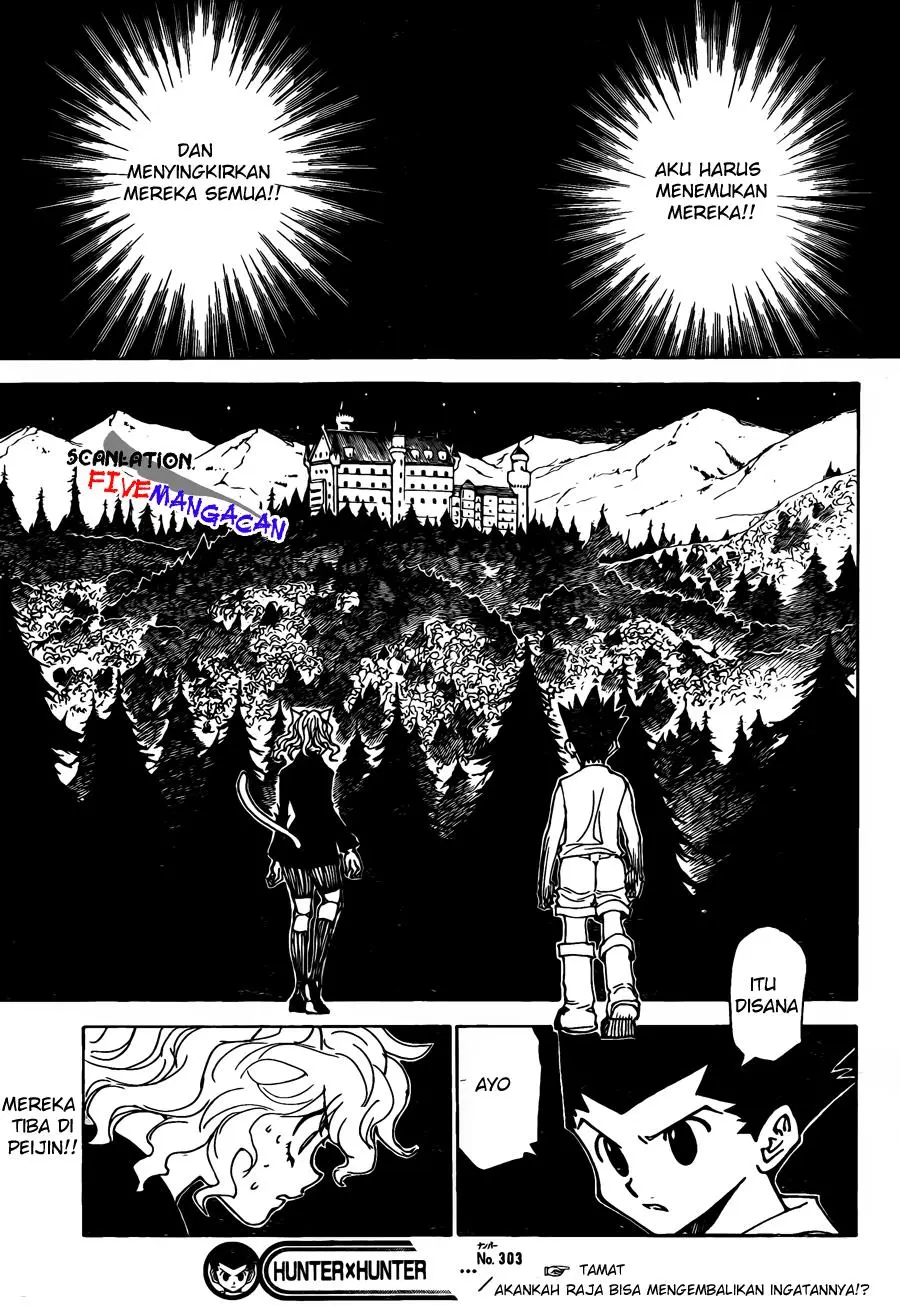 Hunter x Hunter Chapter 303