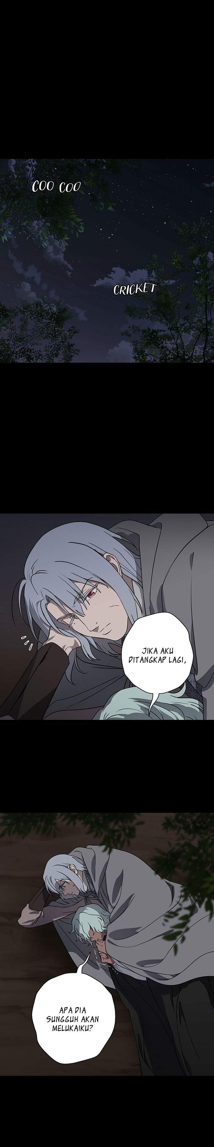 Blinded by the Setting Sun Chapter 217