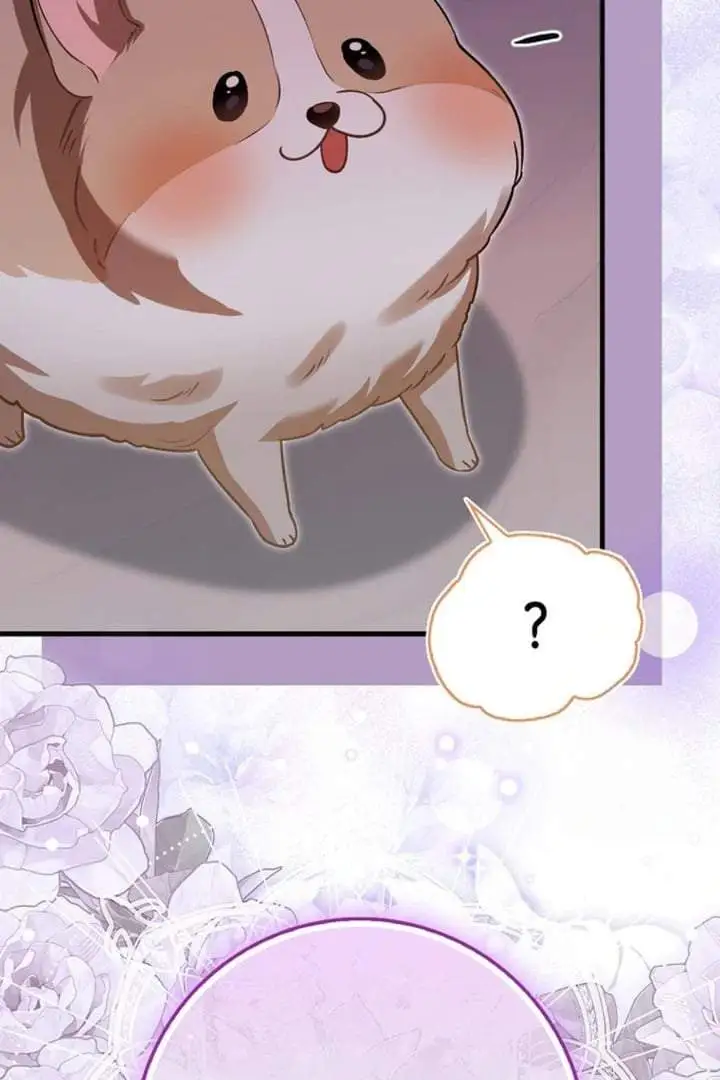 The Baby Fairy is a Villain Chapter 18