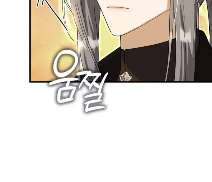The Baby Fairy is a Villain Chapter 20