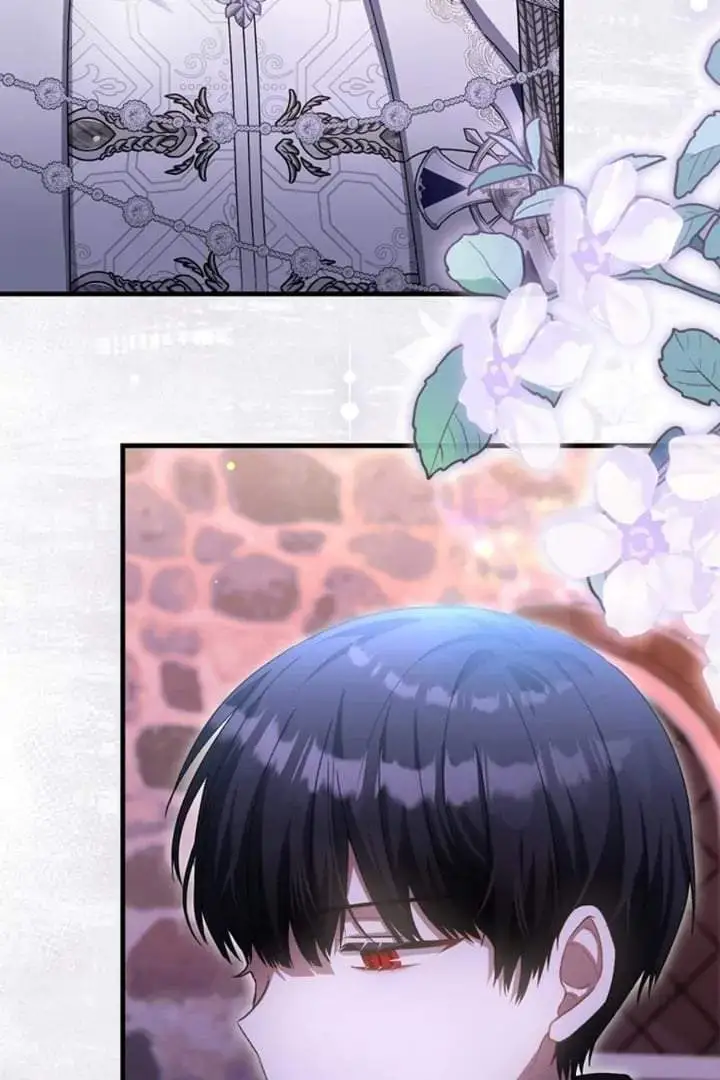 The Baby Fairy is a Villain Chapter 27