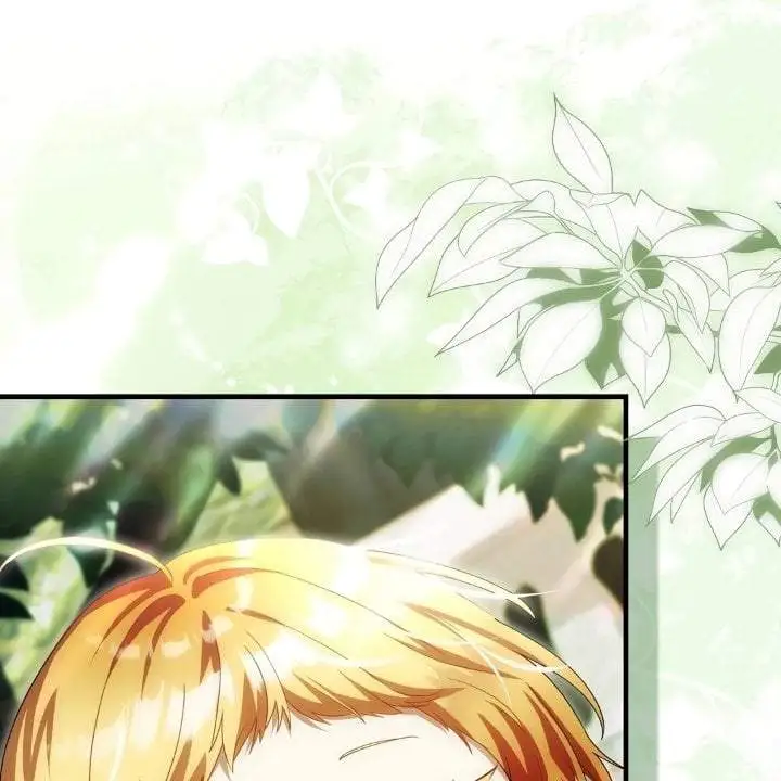 The Baby Fairy is a Villain Chapter 28