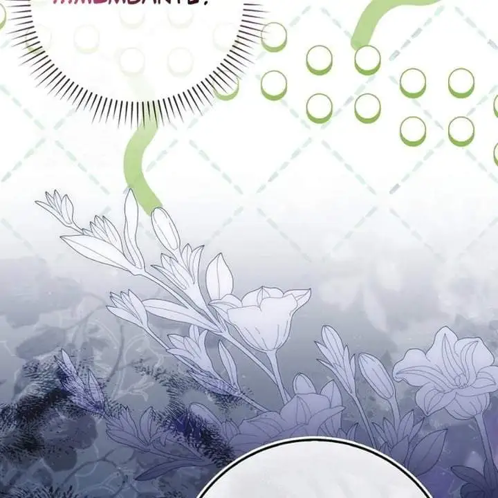 The Baby Fairy is a Villain Chapter 29