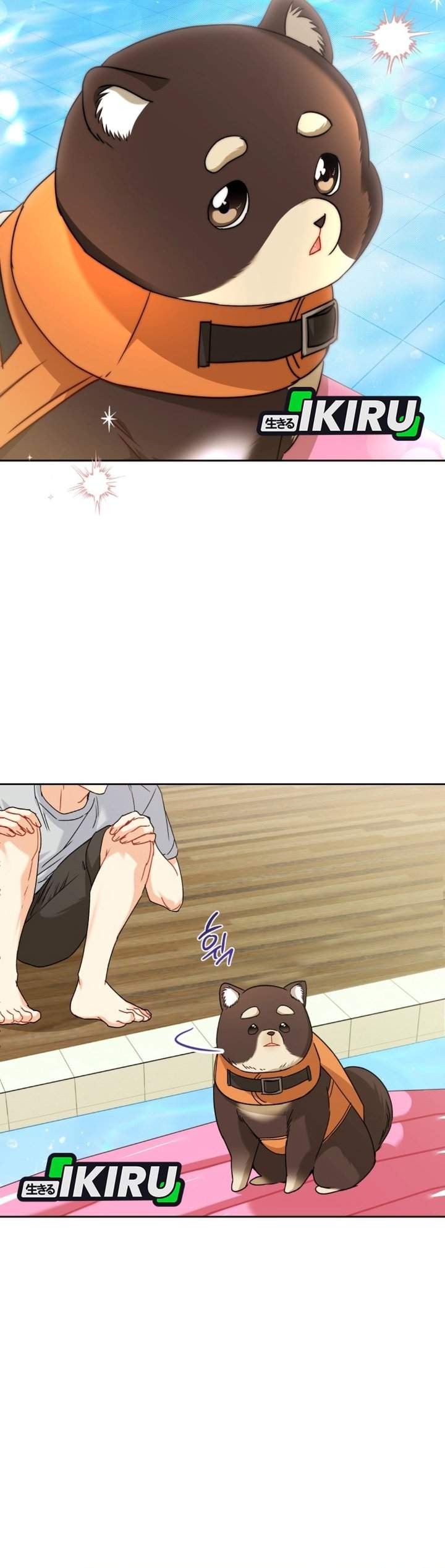 Hello? Veterinarian Chapter 130