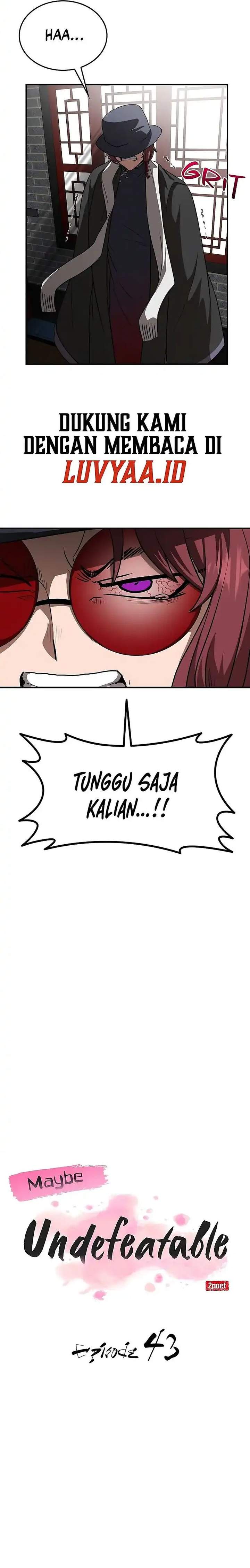 Perhaps Invincible Chapter 43