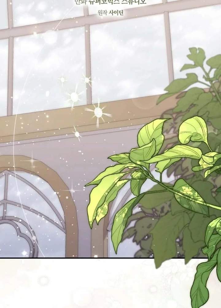 A Princess Who Reads Fortune Chapter 91