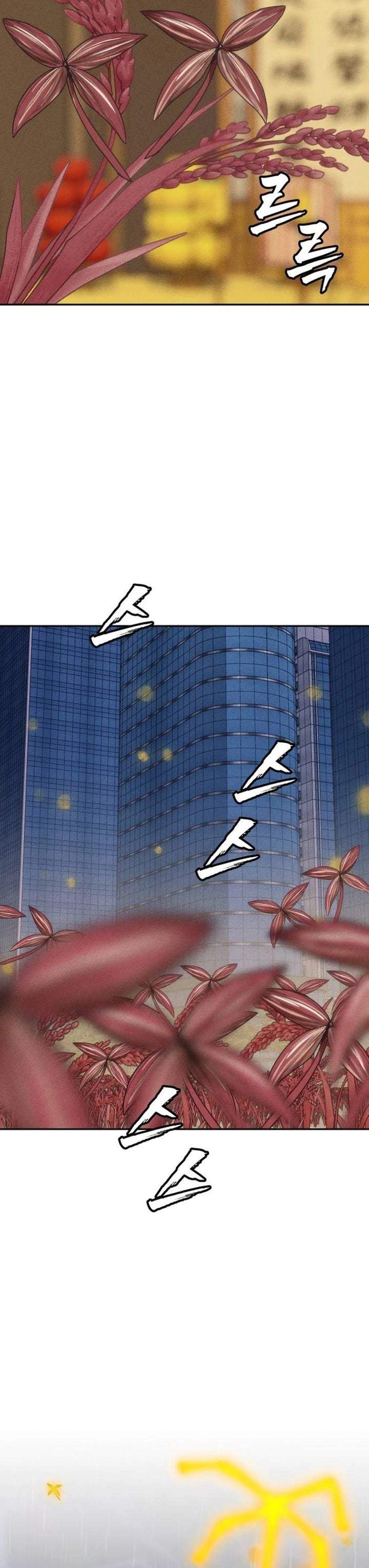 Shamoneyism Chapter 49