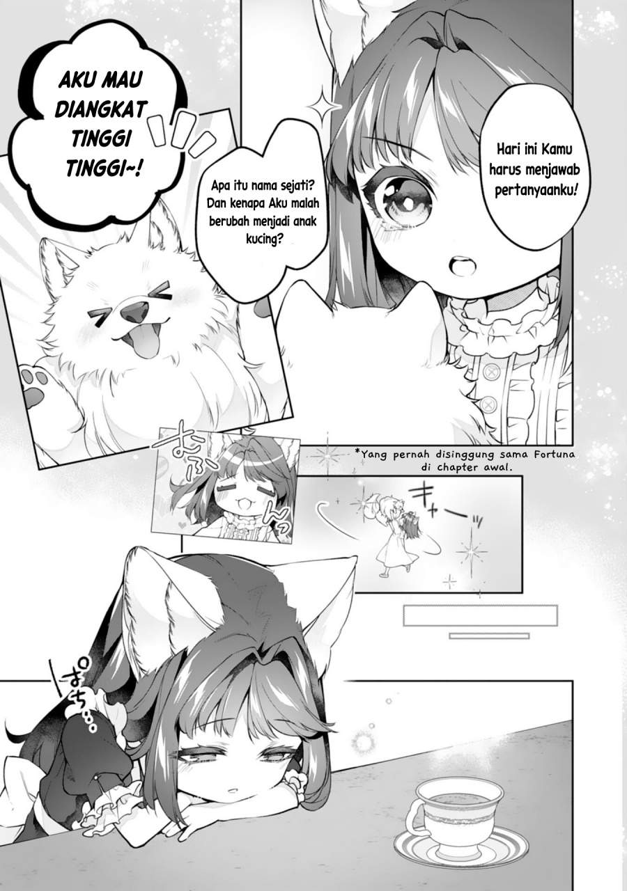 Neko Neko Youjo no Aijou Gohan ~Isekai de Mofumofu-tachi ni Ryouri wo Tsukurimasu!~ Chapter 16