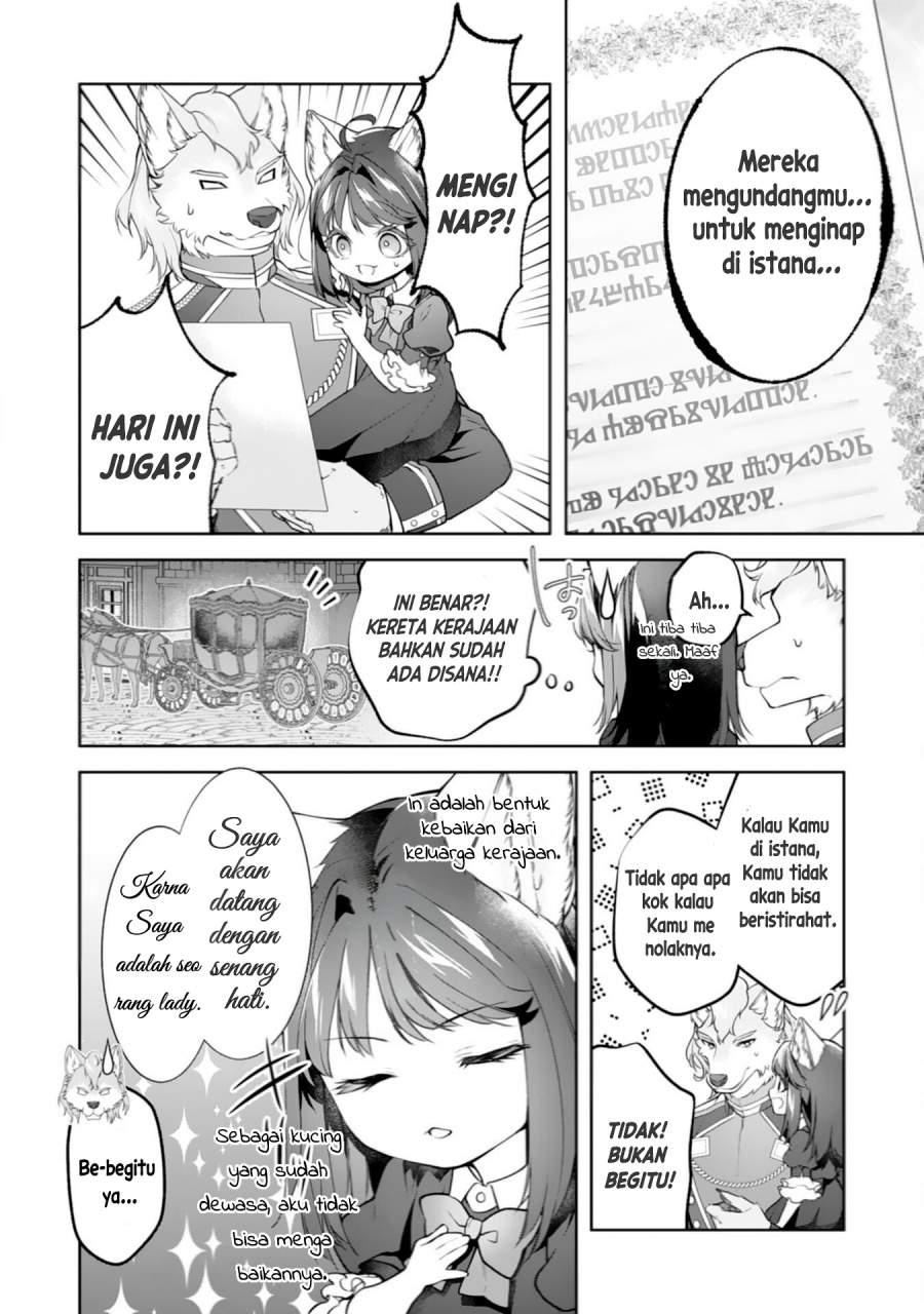 Neko Neko Youjo no Aijou Gohan ~Isekai de Mofumofu-tachi ni Ryouri wo Tsukurimasu!~ Chapter 16