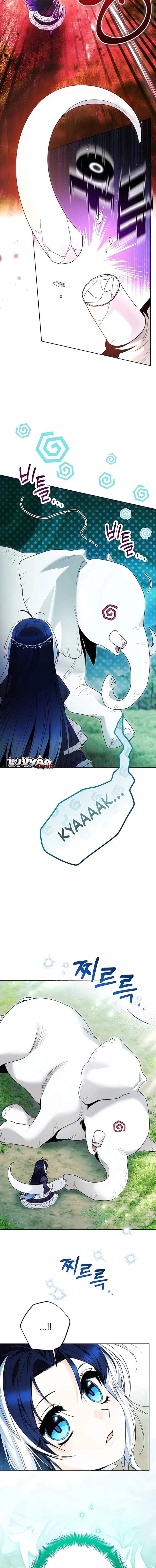 Black Killer Whale Baby Chapter 104