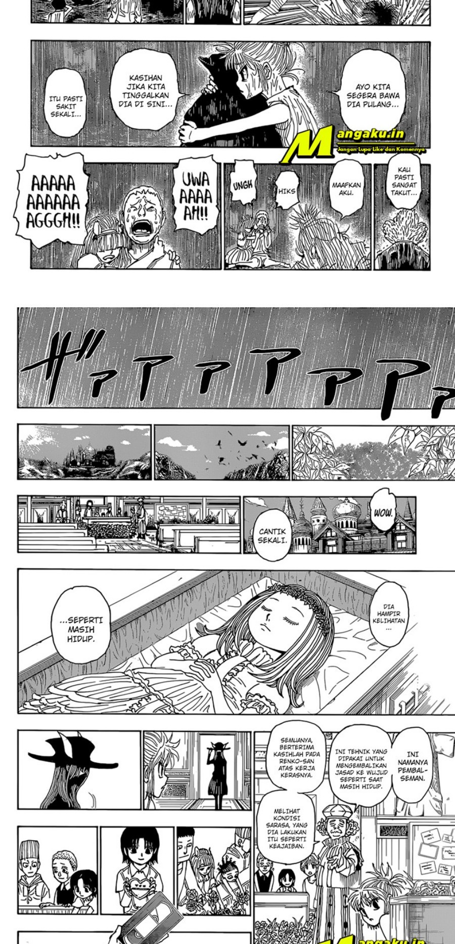 Hunter x Hunter Chapter 397