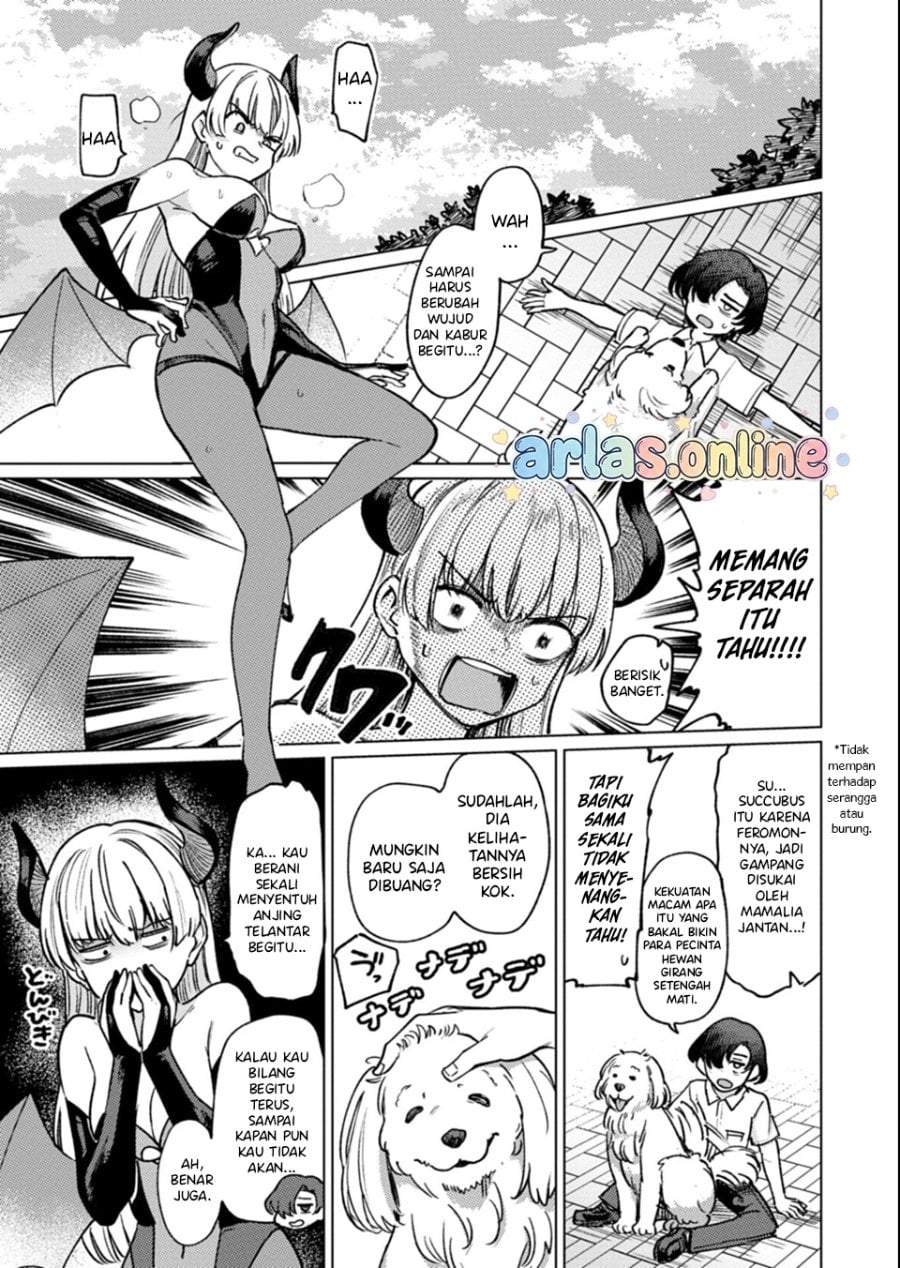 Keppeki sakyubasu wa ××× ga o kirai! Chapter 10