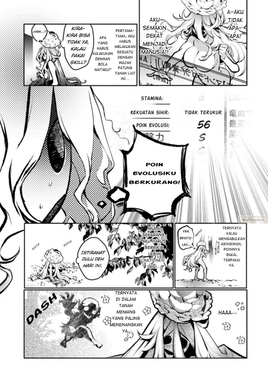 Mamono (Mandragora) tte Baretara Toubatsu desu ka? Chapter 1