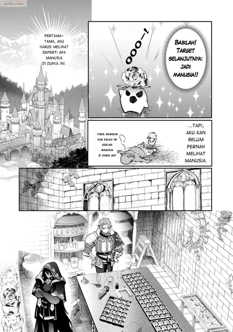 Mamono (Mandragora) tte Baretara Toubatsu desu ka? Chapter 1