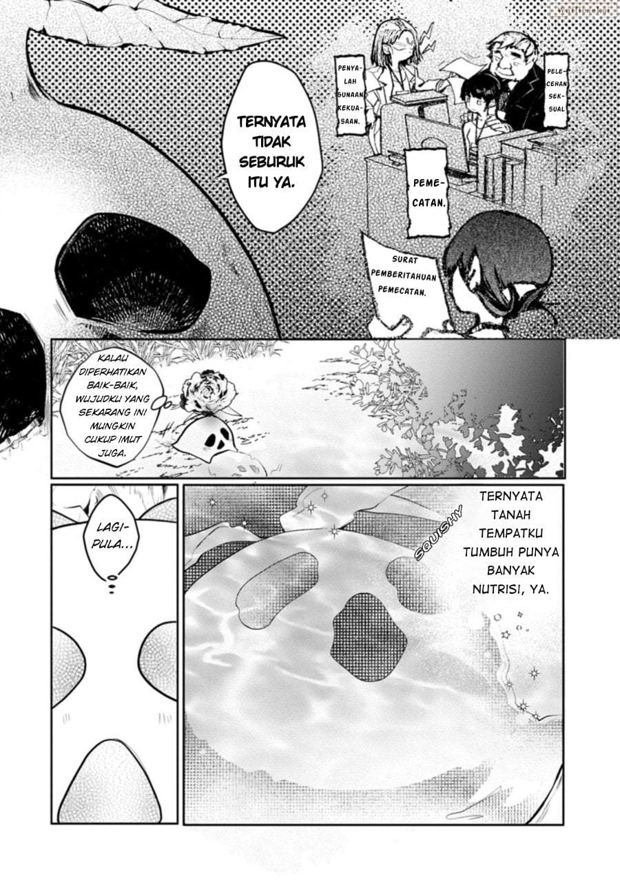 Mamono (Mandragora) tte Baretara Toubatsu desu ka? Chapter 1