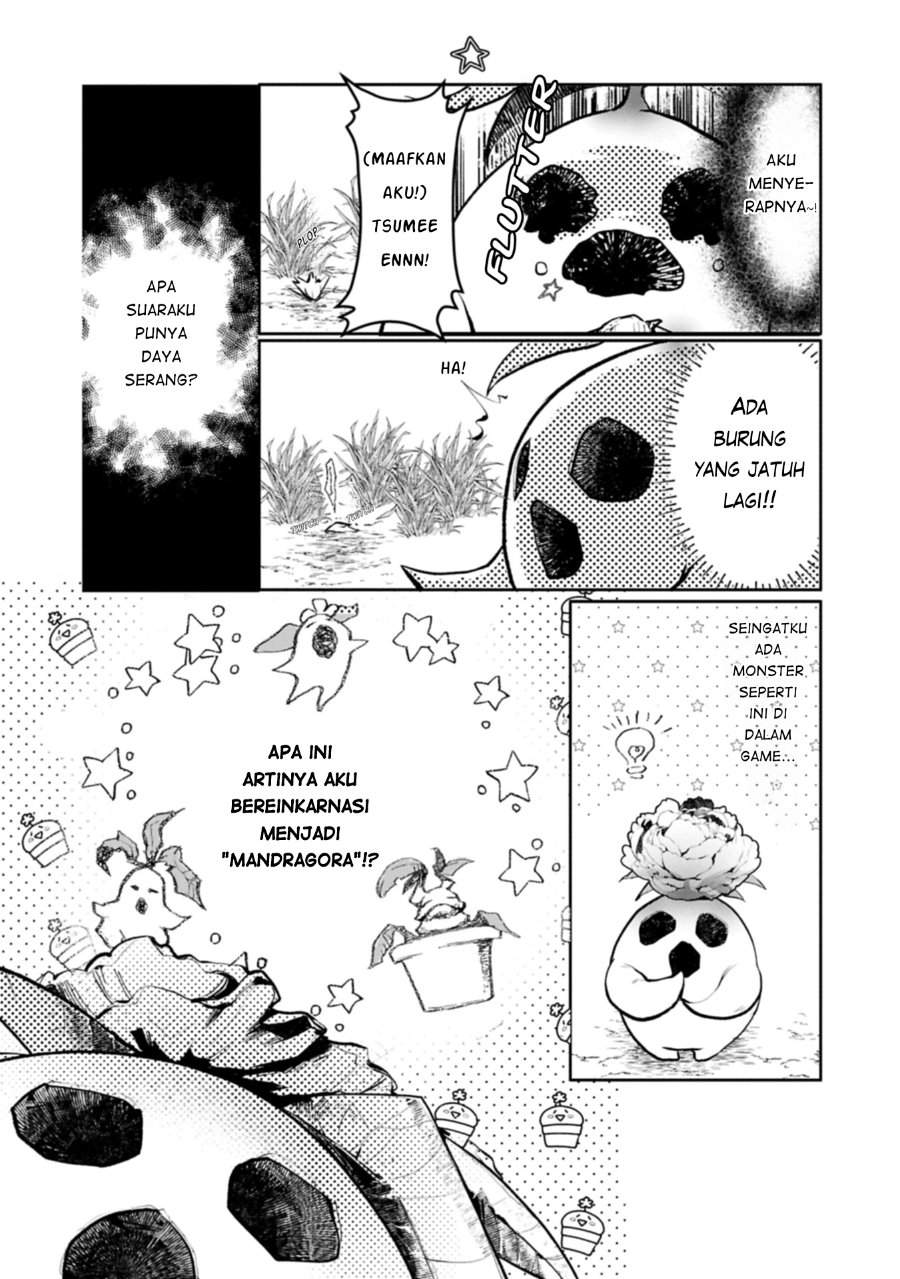 Mamono (Mandragora) tte Baretara Toubatsu desu ka? Chapter 1