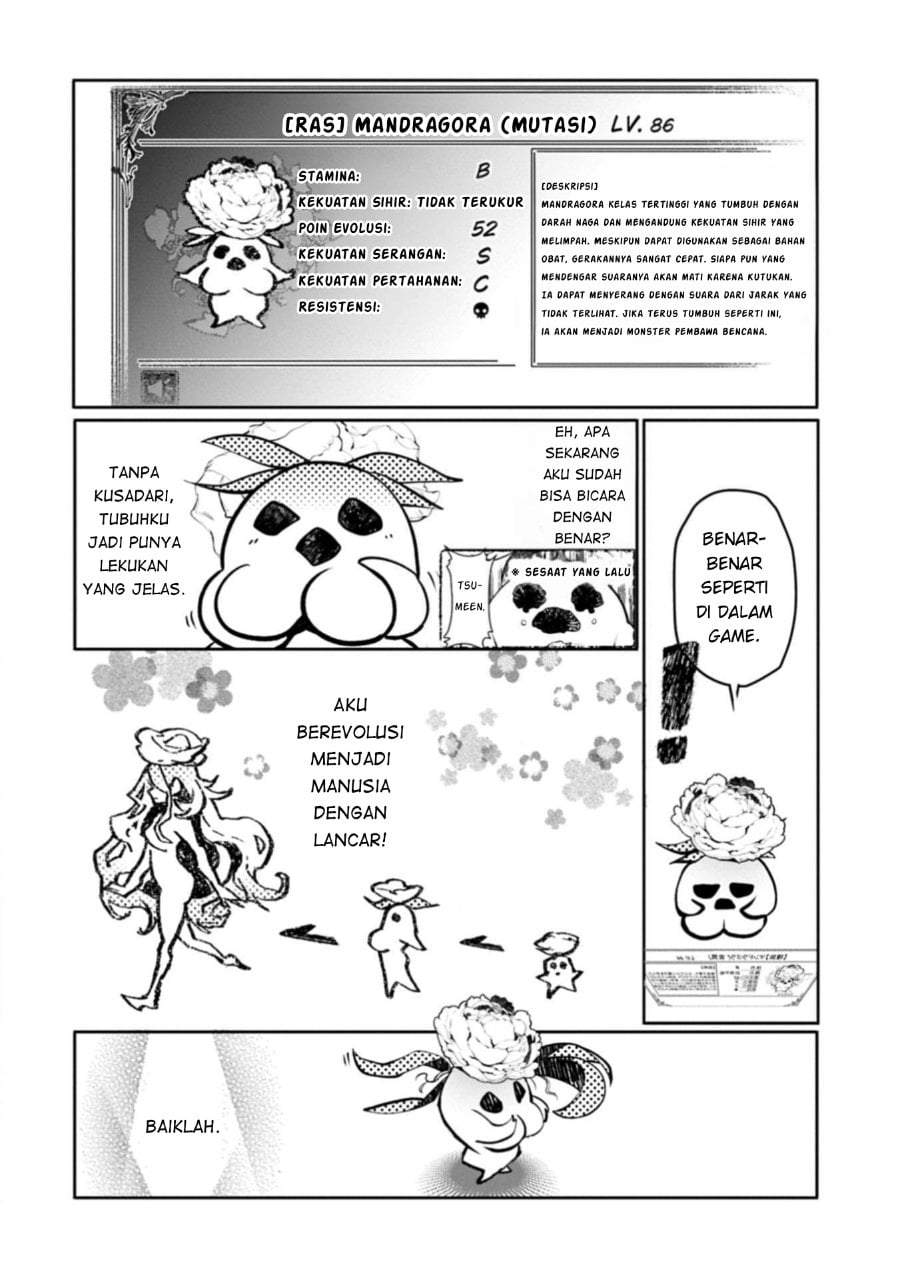 Mamono (Mandragora) tte Baretara Toubatsu desu ka? Chapter 1