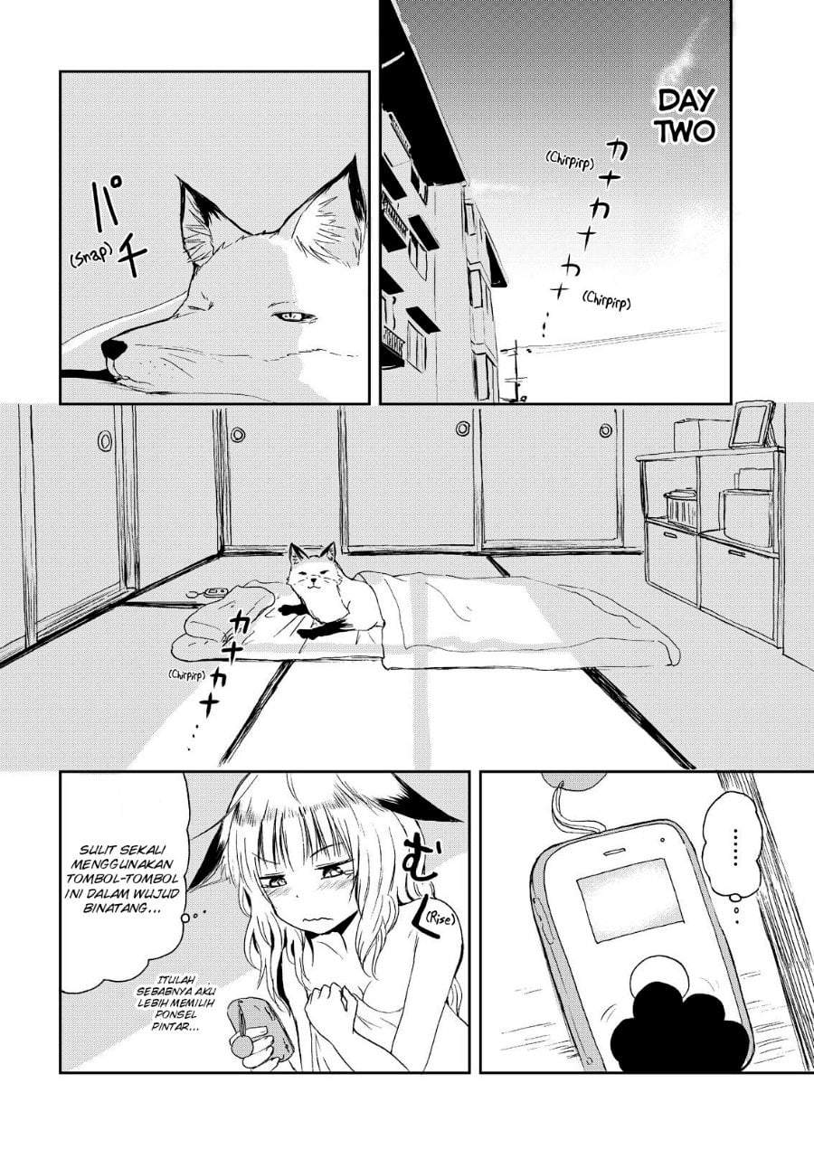 Kitsune no Oyome-chan Chapter 5