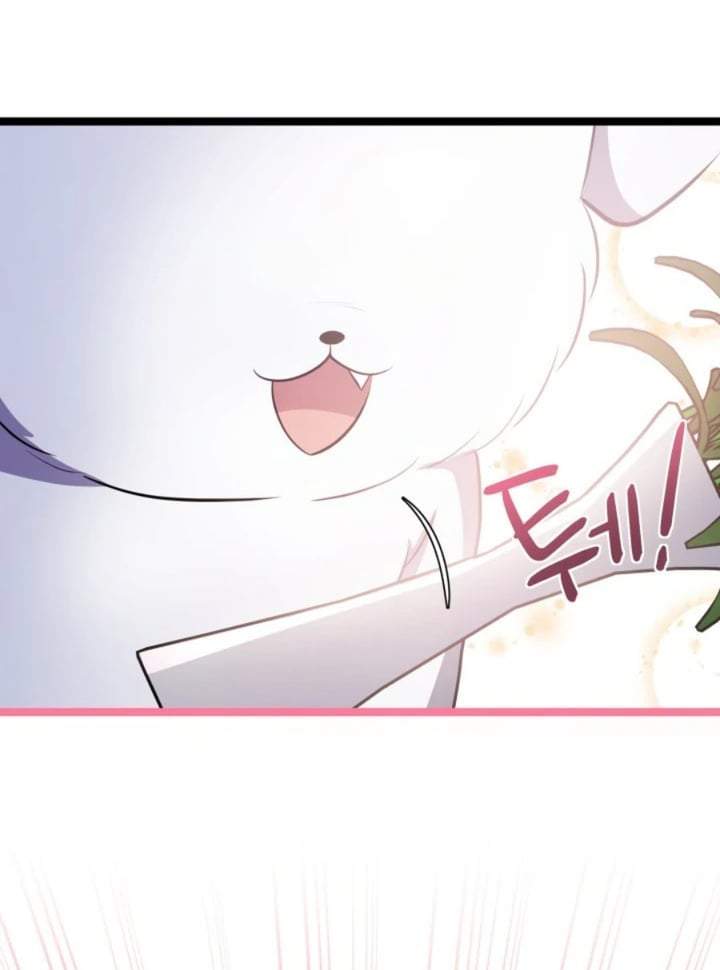 The Villain’s Daughter Plans To Run Away Chapter 67