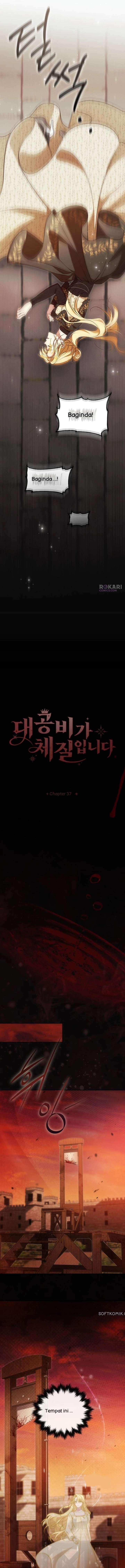Grand Duchess’s Constitution Chapter 37