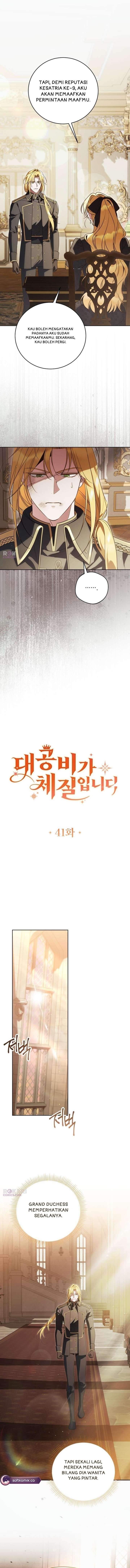 Grand Duchess’s Constitution Chapter 41