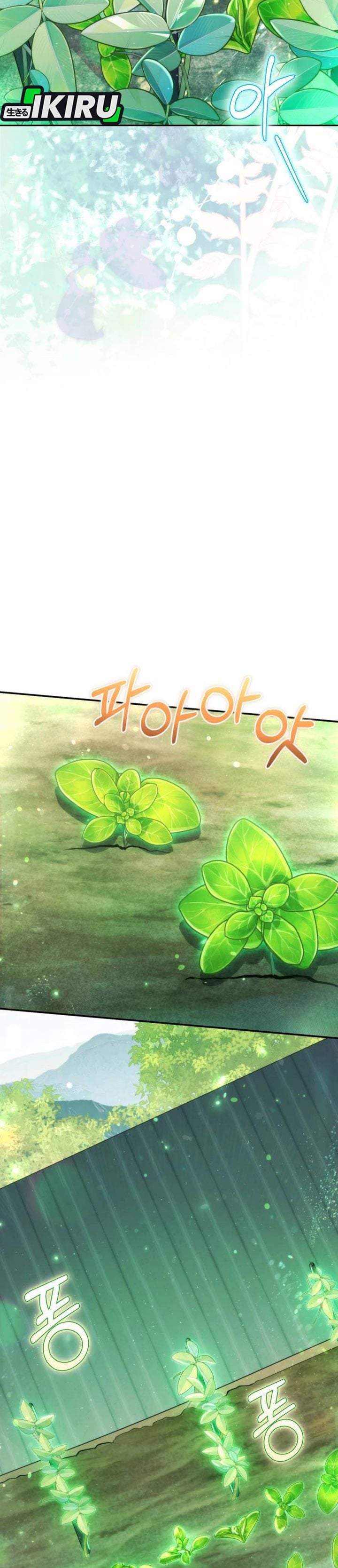 Healing With Deulbi Chapter 4