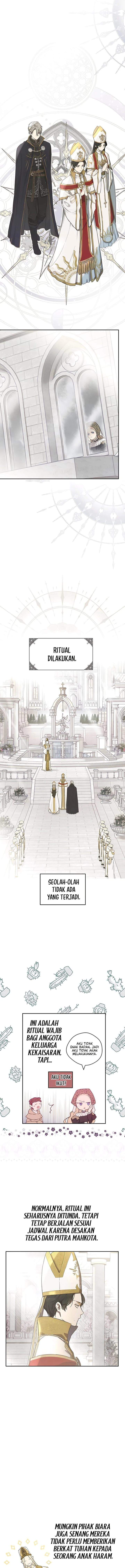 The Forgotten Field Chapter 19