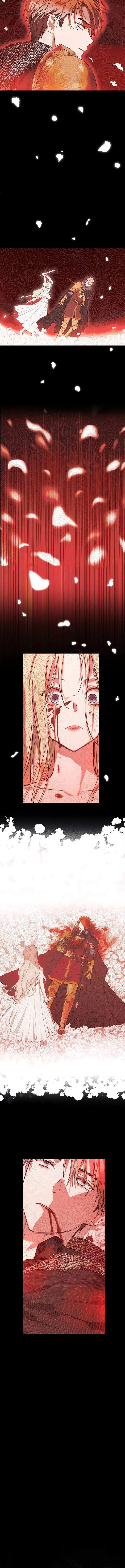 The Forgotten Field Chapter 19