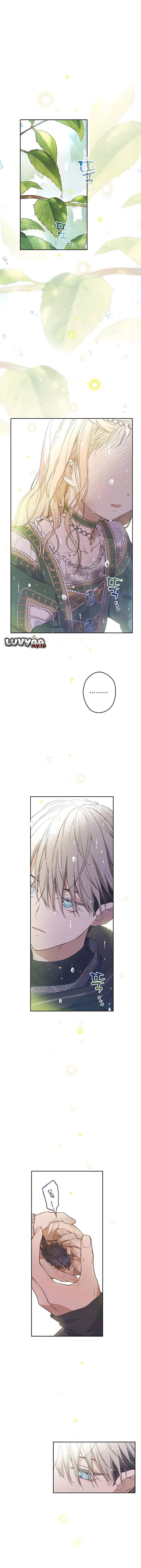The Forgotten Field Chapter 4