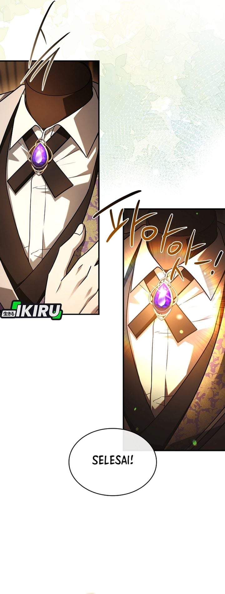 Never Mind the Heir, I’ll Focus On Healing Chapter 18