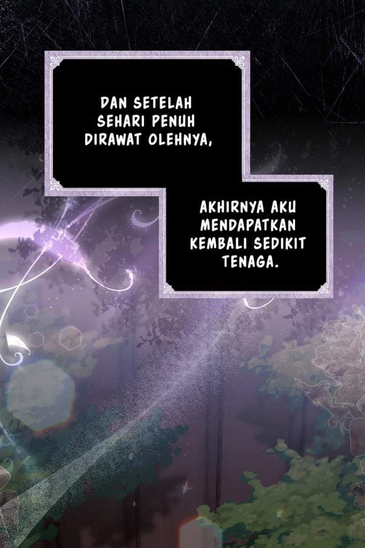 The Baby Fairy is a Villain Chapter 16