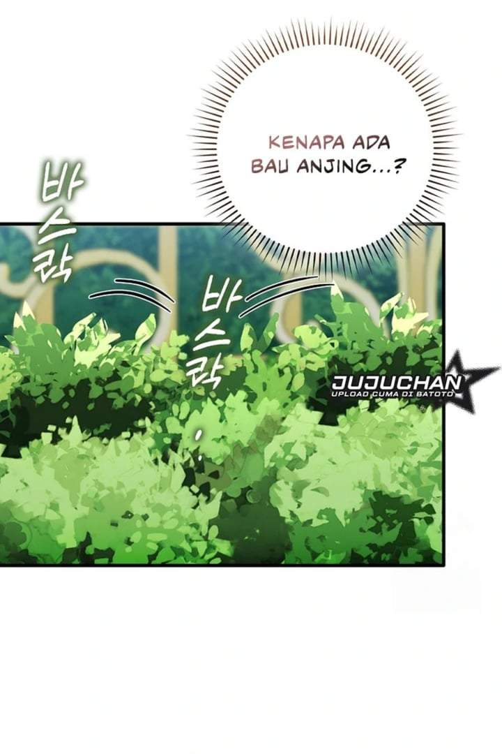 The Baby Fairy is a Villain Chapter 17