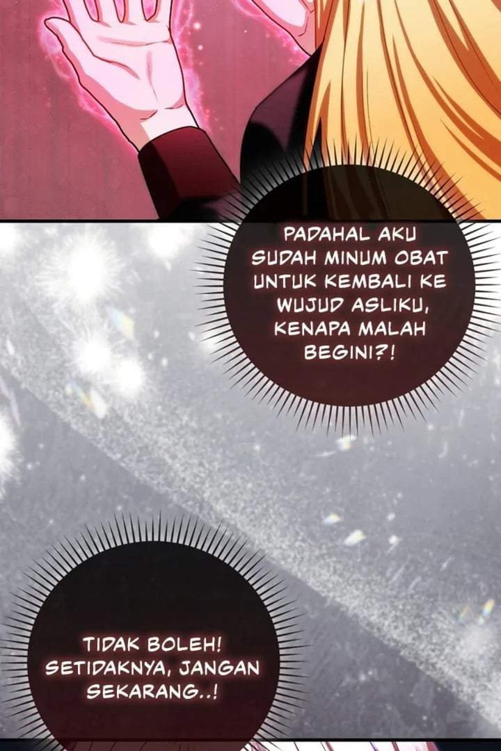 The Baby Fairy is a Villain Chapter 17