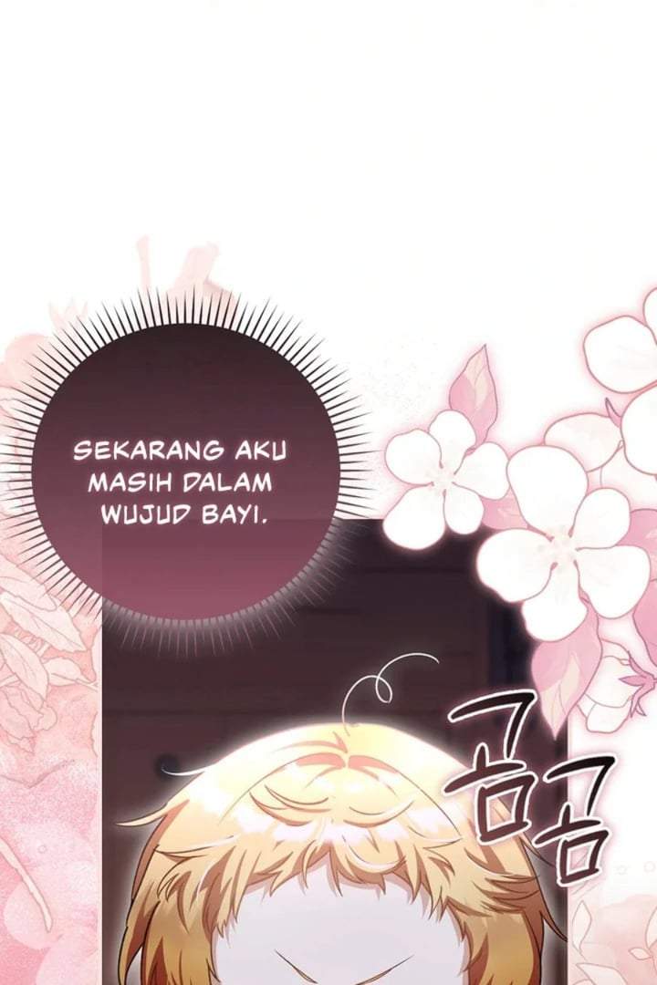 The Baby Fairy is a Villain Chapter 26