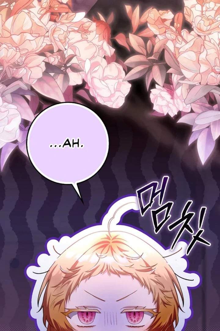 The Baby Fairy is a Villain Chapter 26