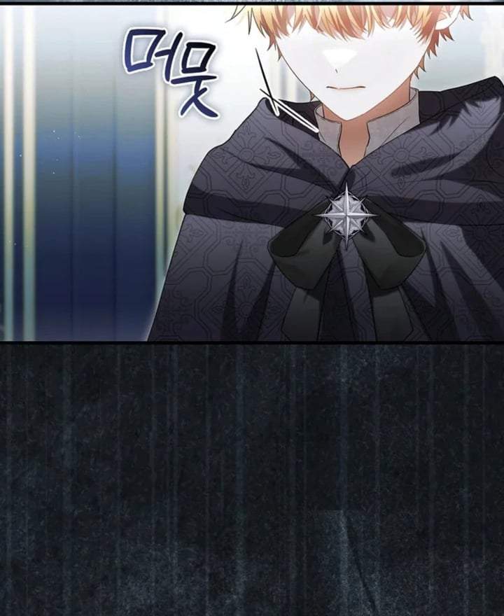 The Baby Fairy is a Villain Chapter 26