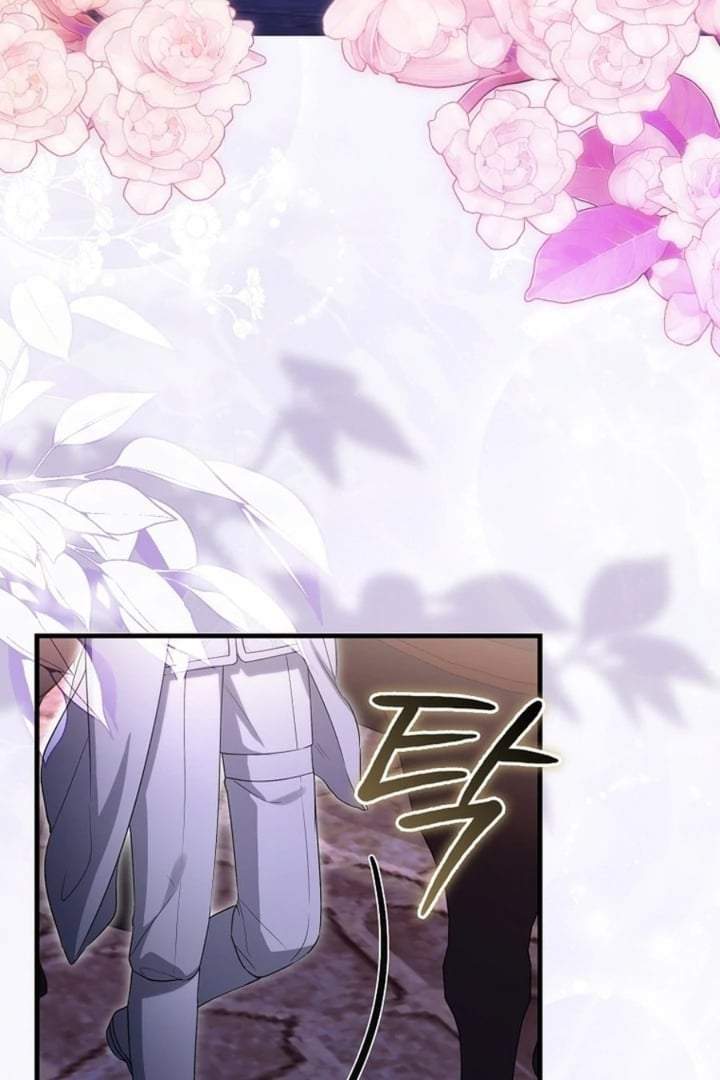 The Baby Fairy is a Villain Chapter 27