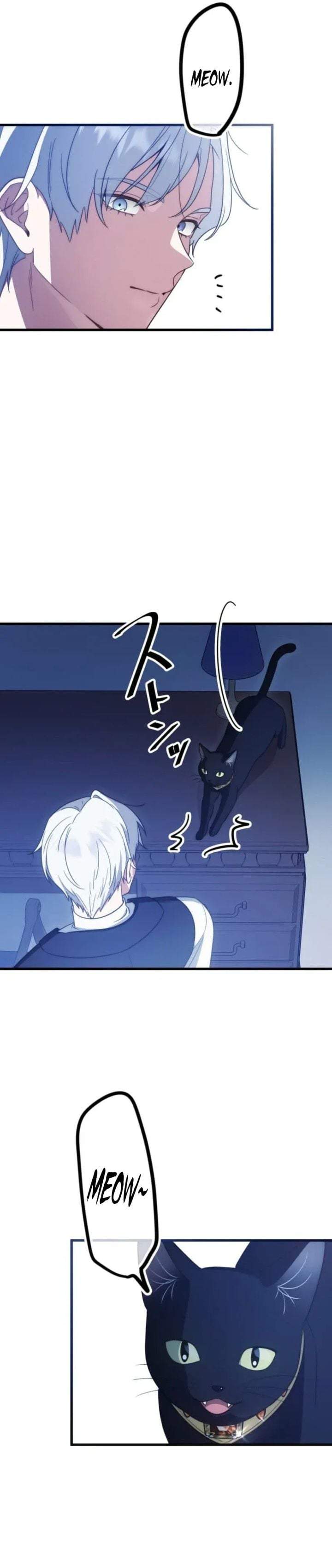 I’m a Condemned Witch, but I’m Being Loved After My Regression?! Chapter 9