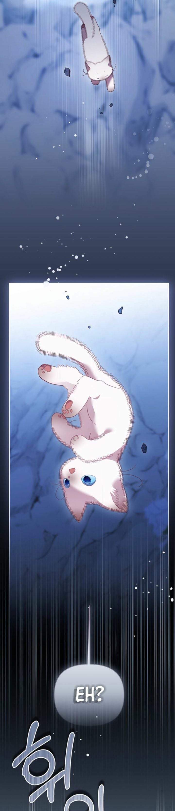 A Baby Cat Who Commands the Dog Clan Chapter 1