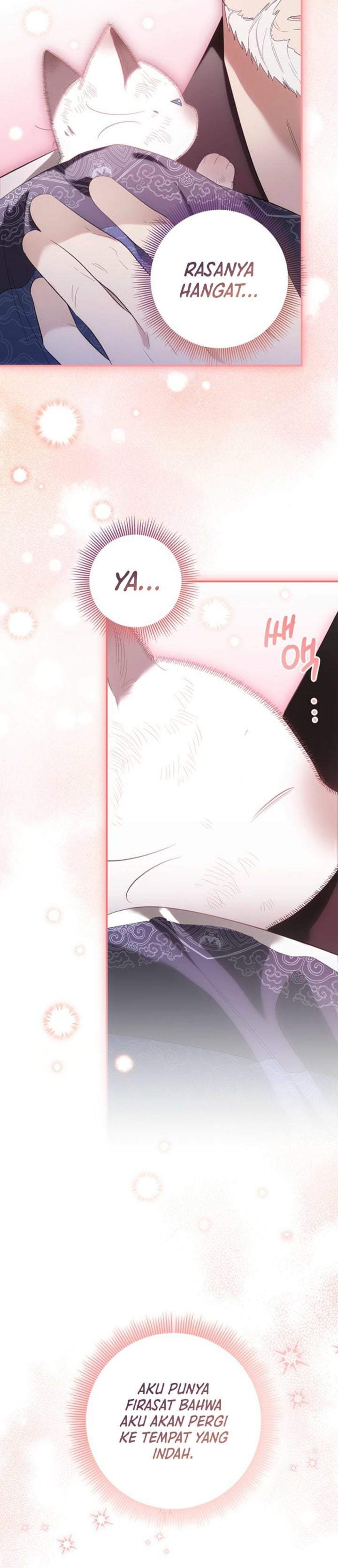 A Baby Cat Who Commands the Dog Clan Chapter 2