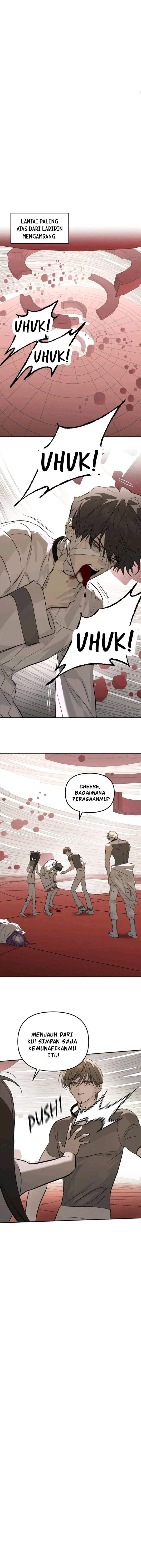 The Evil Ring Chapter 36